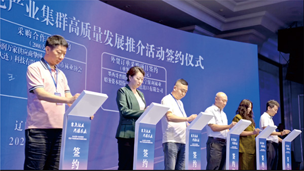 提升全产业链竞争力，加速打造现代袜业集群